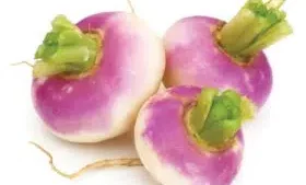 Navets  Bio 500g