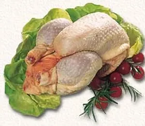 Poules de 1.600kg à 3 kg