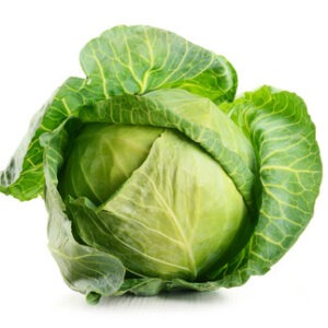 Chou vert Bio