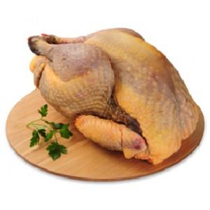 Pintade : de 1.2 Kg à 1.6 Kg