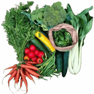 Panier légumes bio