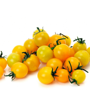 Plant Tomate Cerise Jaune