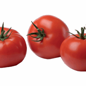 Tomates Rondes Bio 500g