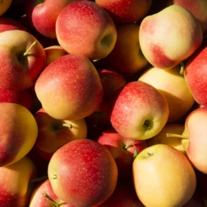 Pomme Pinova